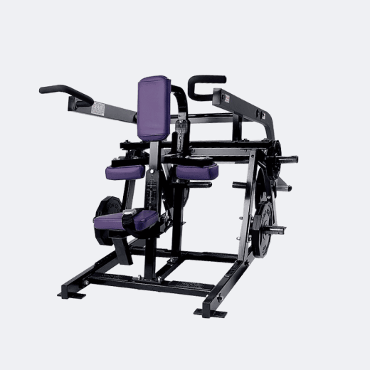 Seated Dip Machine